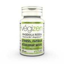 Vegizen 60 Gel 